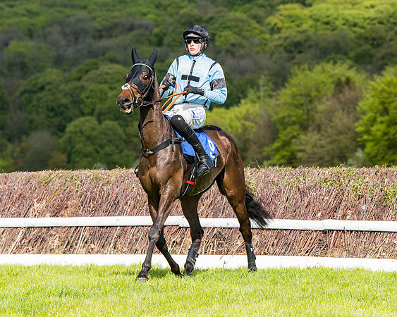 Race 5 - 2m5f Maiden (37 of 144)