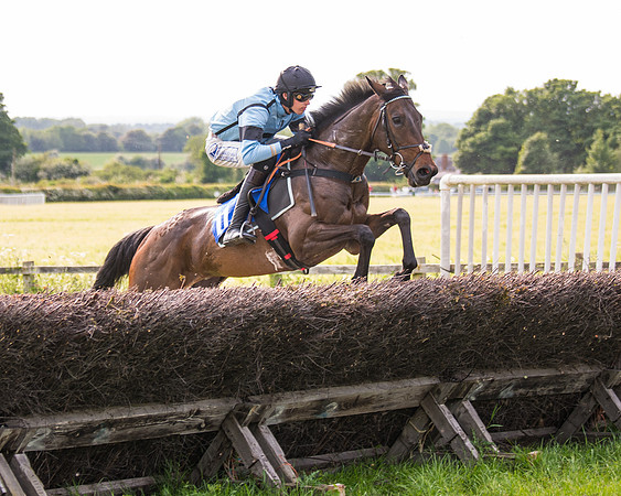 Race 6 - Open Maiden (162 of 346)