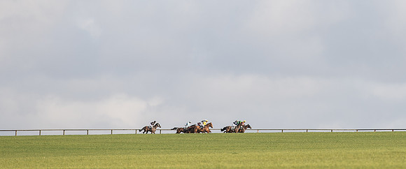 Race 5 - Ladies Open Race (4 of 66).jpg