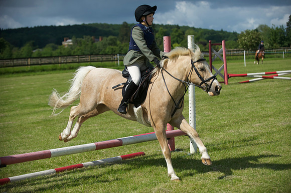 SOHS PC Summer Show at BCA 17th June 2012