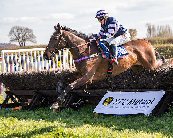 Race 5 - The Waverton Investment Management Ltd Restricted Race farmers and subscribers Race  (117 of 161)