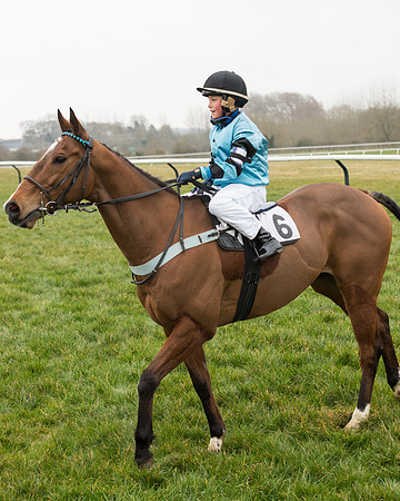 Bicester Ponies-111.jpg