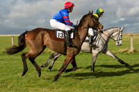 Race 2 - Young Horse Maiden (16 of 110).jpg