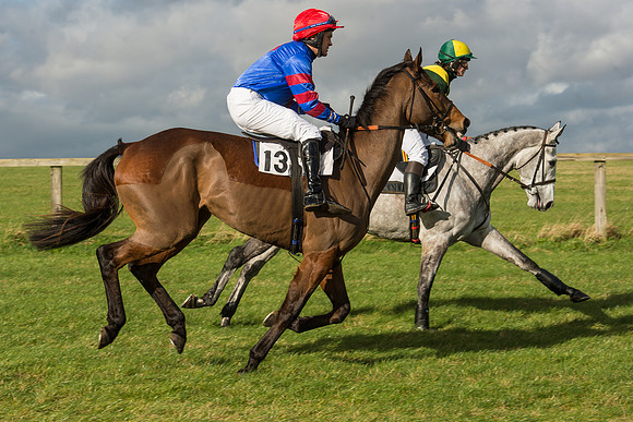 Race 2 - Young Horse Maiden (16 of 110).jpg