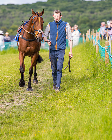 Race 6 - Open Maiden (47 of 346)