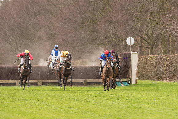 Race 2 - Young Horse Maiden (67 of 110).jpg