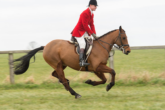 Race 2 - PPORA Novice riders  (66 of 186).jpg