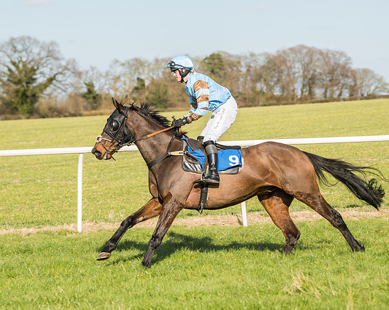 Race 3 - Ladies Open (14 of 156)