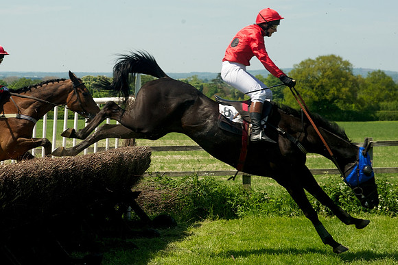 BCB_8260