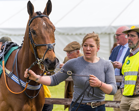 Race 2 - Owner-Trainer Conditions  (15 of 208)