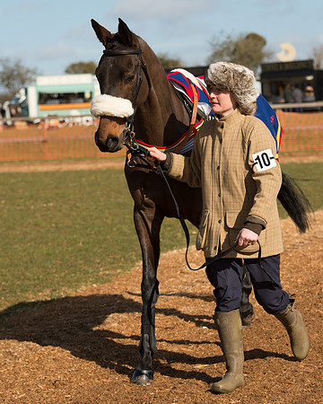 Race 1 - 4-5-6 Maiden (14 of 119).jpg