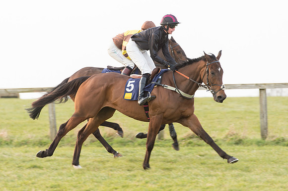 Race 6 Div 2 - Open Maiden  (11 of 131).jpg