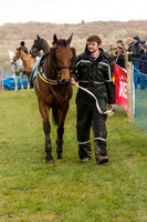 Race 1 - Div 1 - Young Horse Maiden (8 of 90).jpg