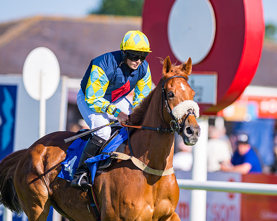 Race 1 - JFF Open Hunter Steeple Chase 2m  (36 of 202)