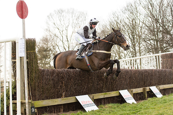 Race 2 - PPORA Novice riders  (154 of 186).jpg