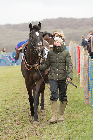 Race 2 - Open Maiden (9 of 161).jpg