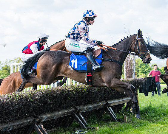 Race 5 - 2m5f Maiden (54 of 144)