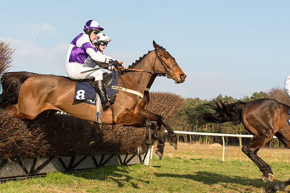 Race 5 - Restricted Race (41 of 64).jpg