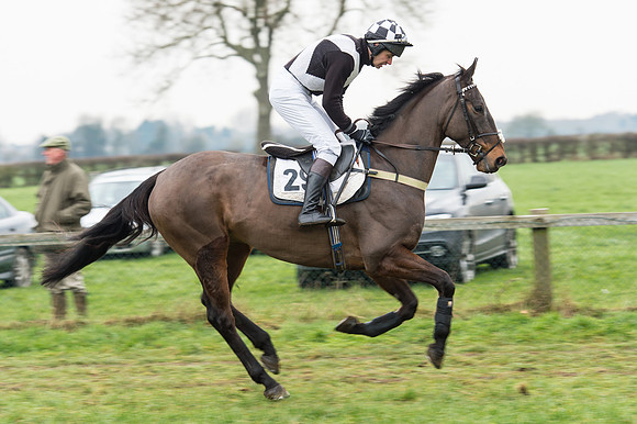 Race 6 - Open Maiden Div 2 (13 of 97).jpg