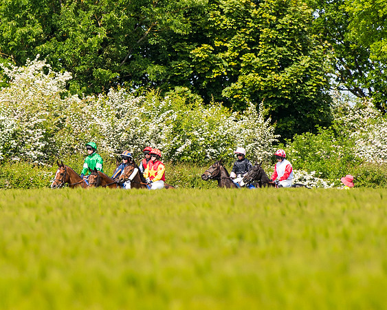 Race 1 - The Little Red owner Trainer conditions (140 of 345)