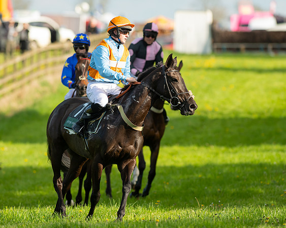 Race 7 - Maiden  (33 of 113)