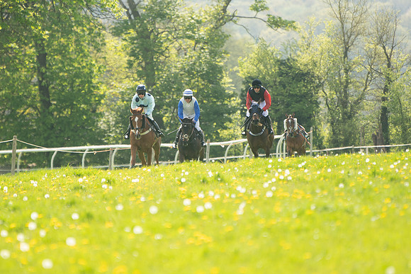 Race 2 - Veteran Horse  (43 of 82)