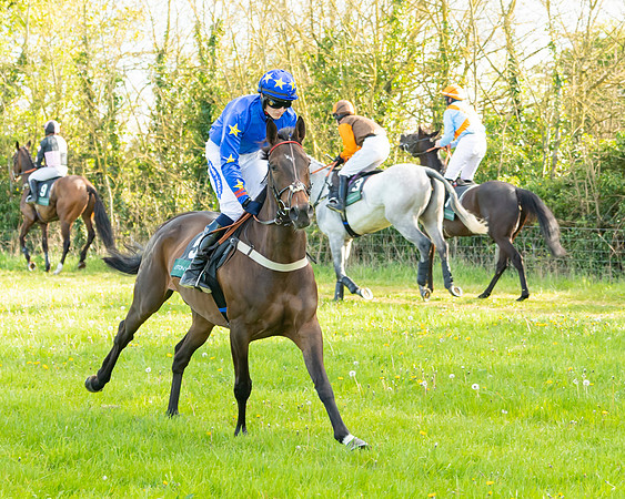 Race 7 - Maiden  (22 of 113)