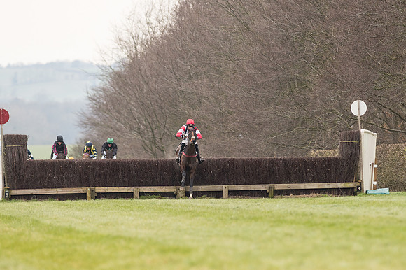 Race 2 - PPORA Novice riders  (123 of 186).jpg