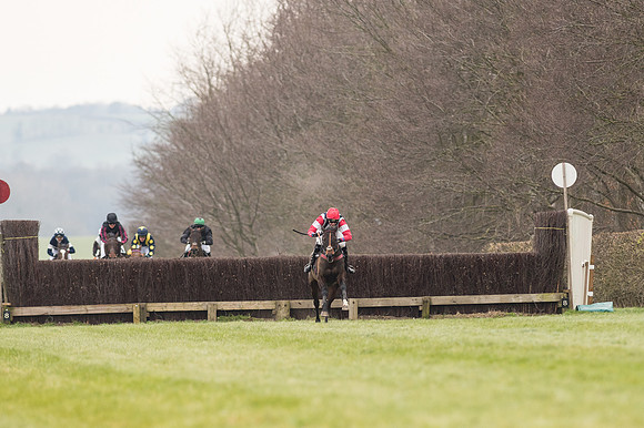 Race 2 - PPORA Novice riders  (126 of 186).jpg