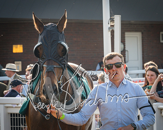 Race 3 - The Junior Jumpers open hunter's steeple chase 3m1f56y (24 of 156)