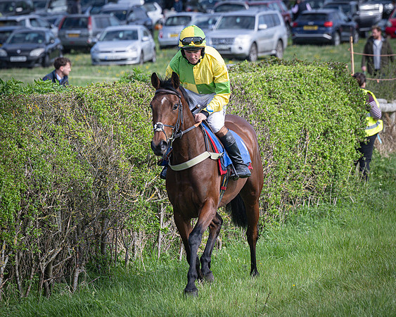 Race 5 - The 5G Restricted Race (9 of 56)