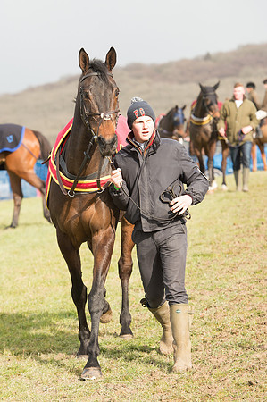 Race 2 - Open Maiden (18 of 161).jpg