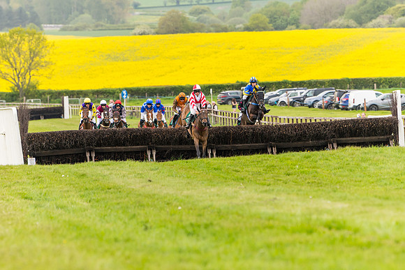 Race 7 - Veteran Horse conditions (99 of 244)