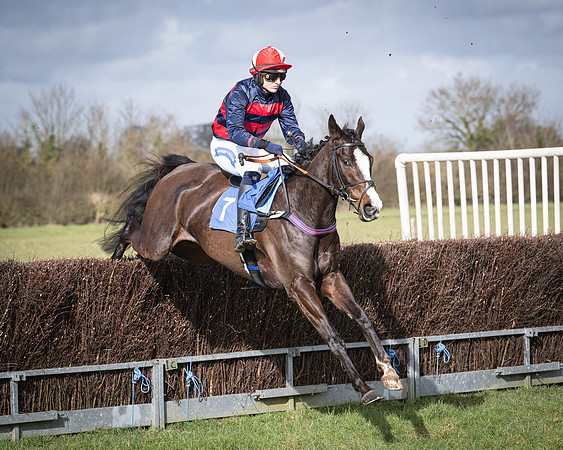 Race 3 - The Maiden Conditions (100 of 214)