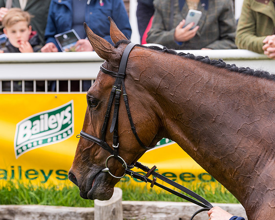Race 2 - Five and Over restricted (122 of 136)