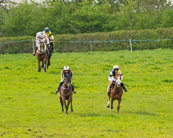 Race 5 - Open Maiden  (29 of 89)