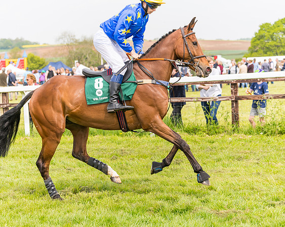 Race 2 - Owner-Trainer Conditions  (35 of 208)