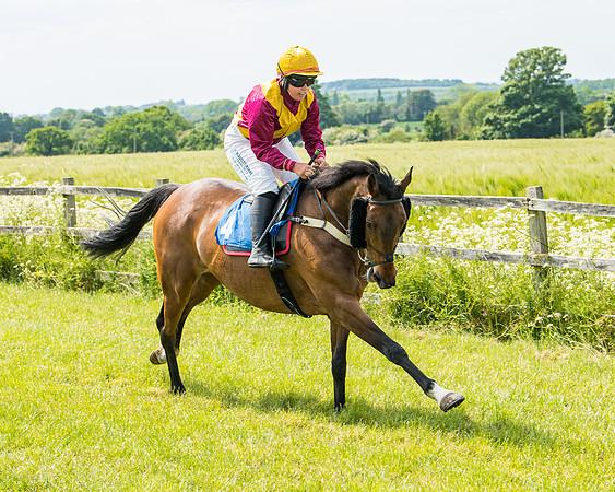 Race 2 - PPORA Novice Riders (140 of 444)