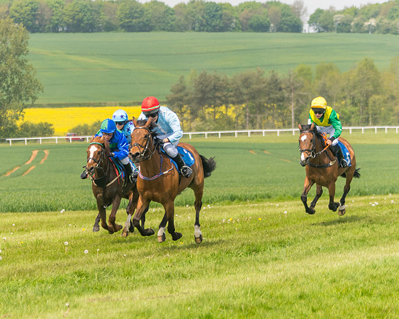 Pony Race 1 - 138cm (36 of 74)