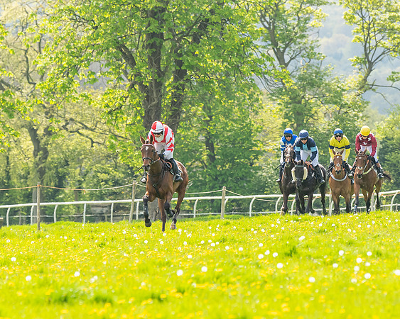Race 1 - Restricted Race (38 of 85)
