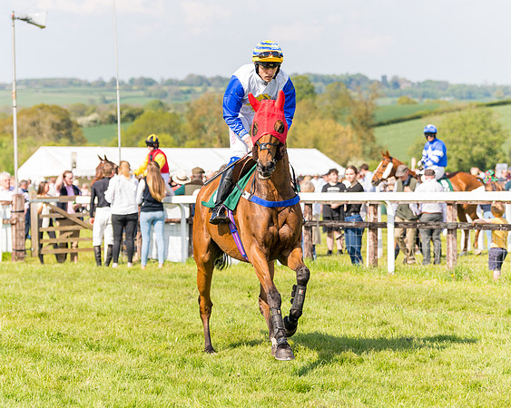 Race 4 - PPORA Novice Riders  (50 of 203)