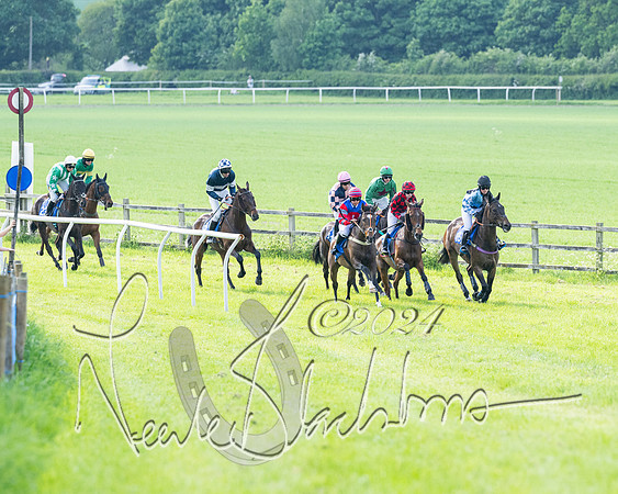 Race 5  - Maiden race 2m5F Div-2 (122 of 205)