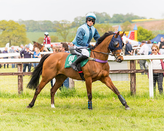Race 2 - Owner-Trainer Conditions  (32 of 208)