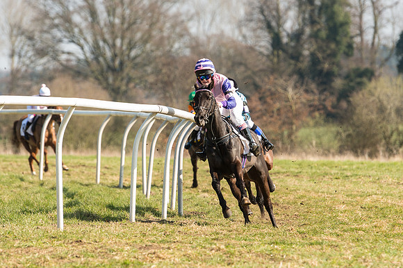 Pony Race 2 - 138 -  (9 of 28).jpg