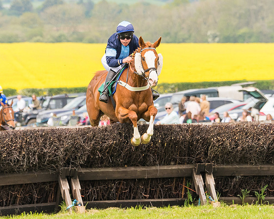 Race 2 - Owner-Trainer Conditions  (70 of 208)