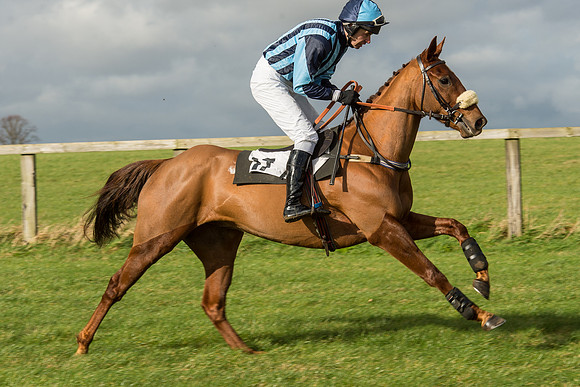 Race 2 - Young Horse Maiden (28 of 110).jpg