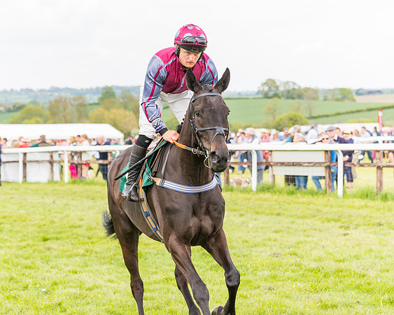 Race 6 = Maiden (60 of 187)
