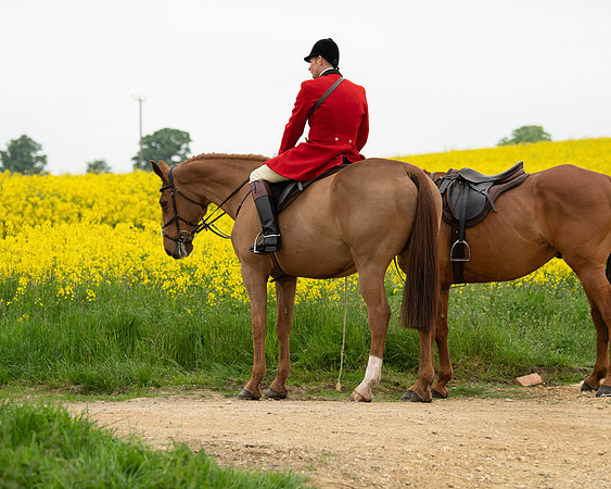 Hunt and Hounds (10 of 12)