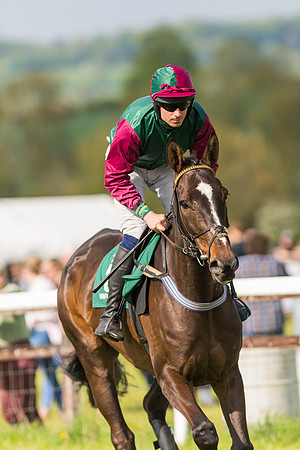 Race 5 - Restricted  (47 of 164)
