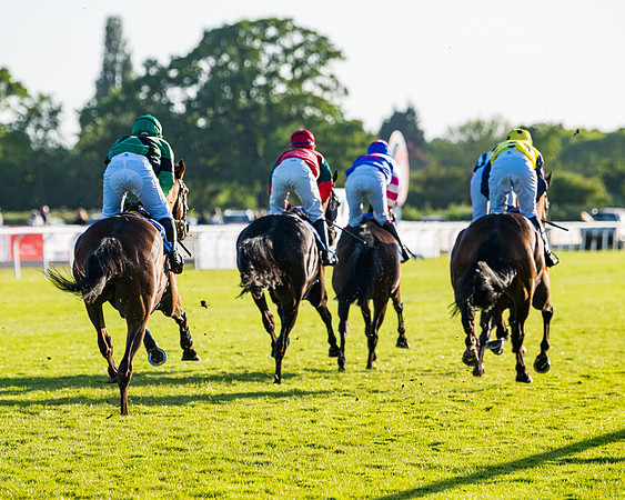 Race 5 - Whitw Swan Handicap (13 of 67)